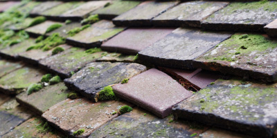 Amlwch roof repair costs